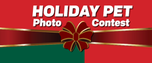 Holiday Pet Photo Contest Winners