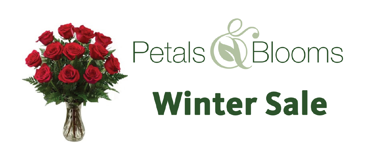 petals and blooms winter sale