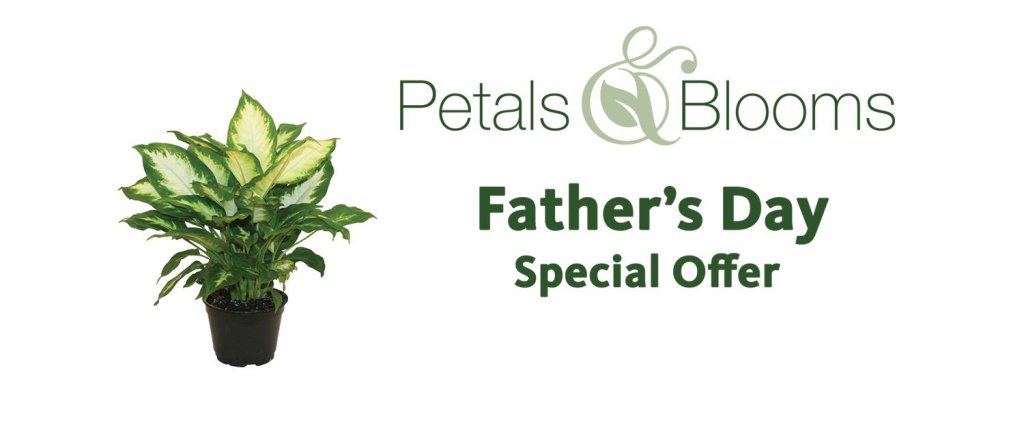 Petals and Blooms Father’s Day sale