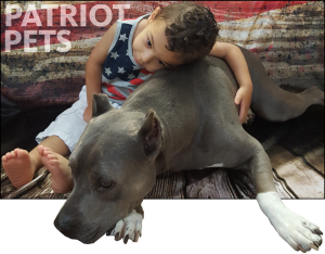 Patriot Pets