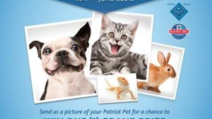 Cute Pets Can Cash in with Army & Air Force Exchange Service Photo Contest