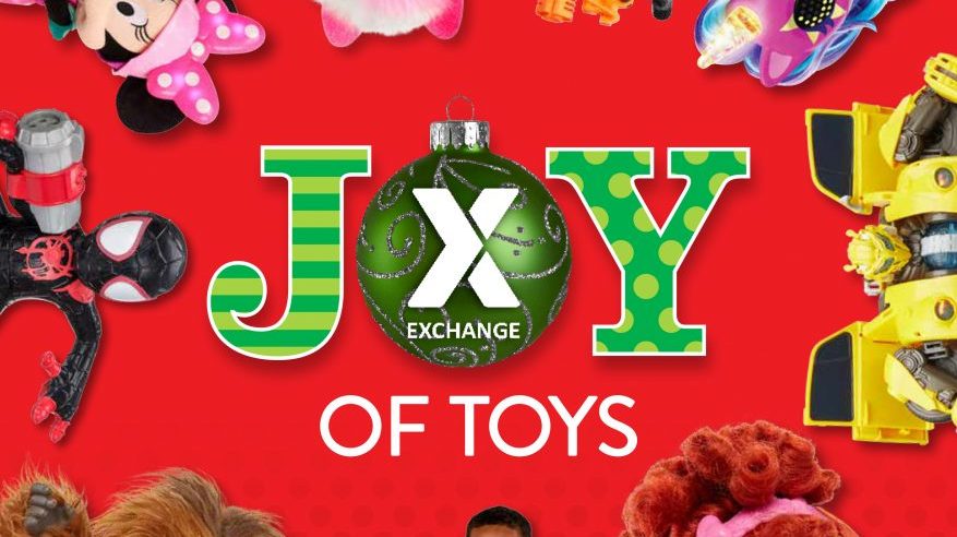 Joy of Toys Book