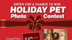 Holiday Pet Photo Contest