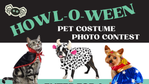 Army & Air Force Exchange Service shoppers can show off their pet’s spook-tacular best and win great prizes in the Howl-O-Ween Pet Costume Photo Contest.