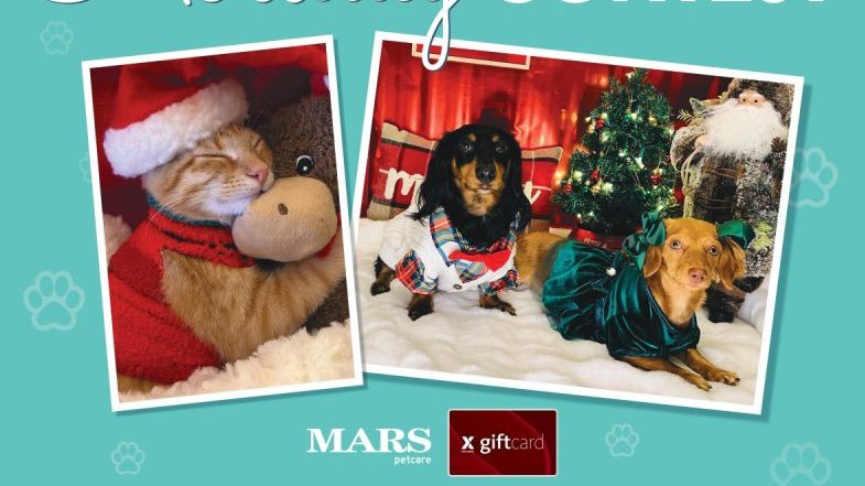 Military shoppers can show off Santa’s little yelpers and enter for a chance to win a prize in the Army & Air Force Exchange Service’s holiday pet photo contest.