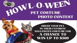 Witch way to the milk bones? Spooky sidekicks can help military shoppers win a share of $3,000 in prizes from the Exchange’s Howl-o-Ween Pet Photo Contest. Shoppers can enter by submitting a photo of their pets in costume on ShopMyExchange.com/Sweepstakes.