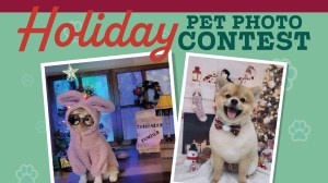 Army & Air Force Exchange Service shoppers can show off their furry friends in their festive best for a chance at $3,000 in prizes in the Holiday Pet Photo Contest.